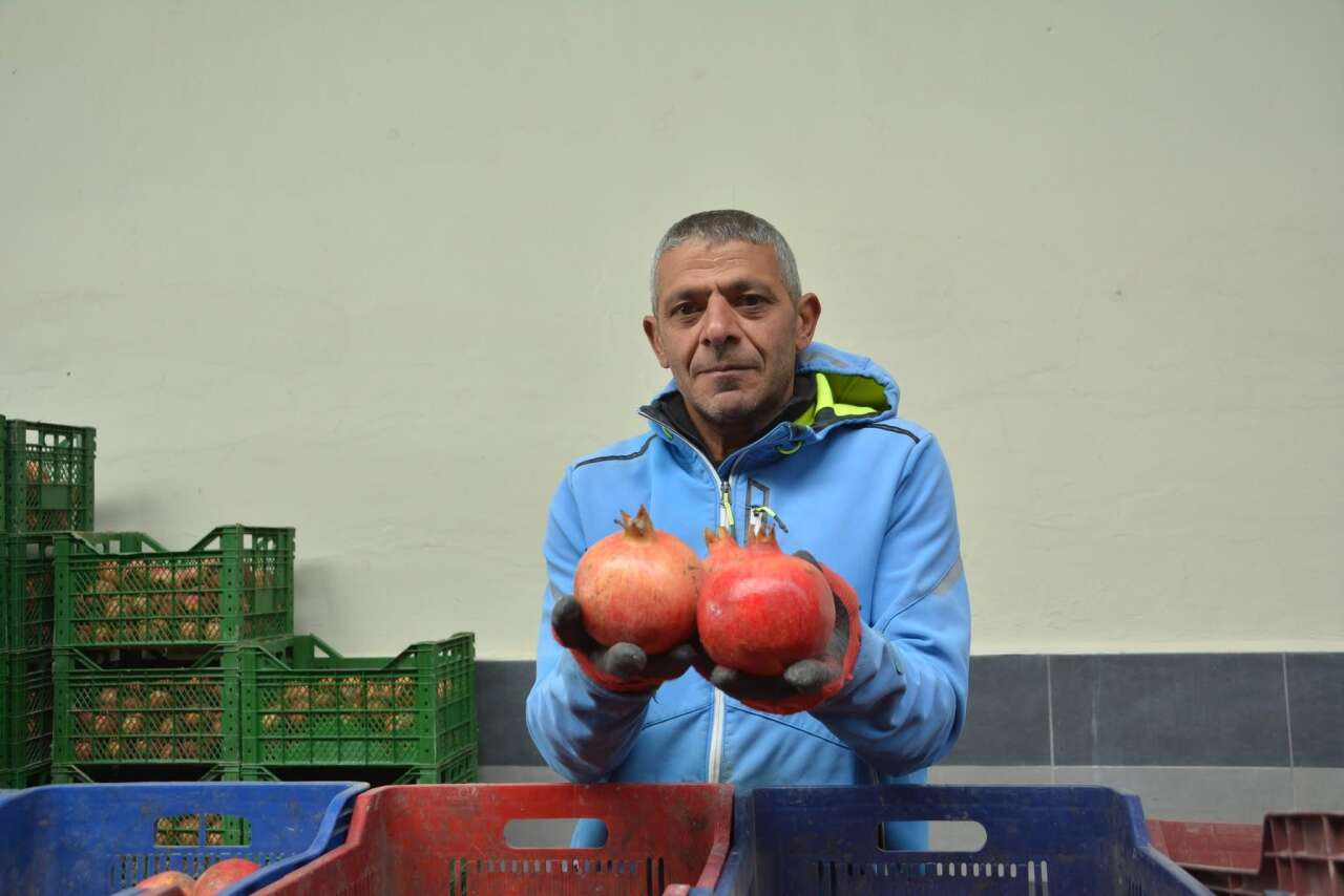 Fethiye Narı, Avrupa ve Rusya Sofralarında 2